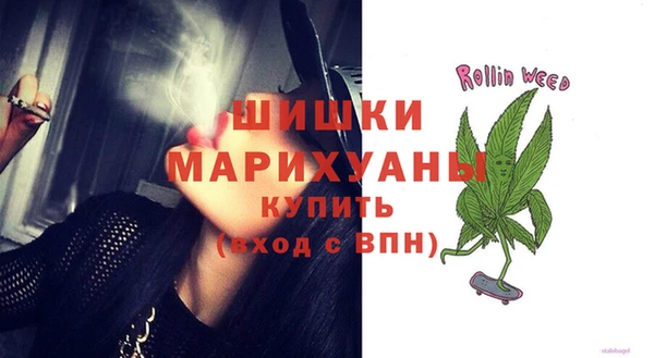 крисы Кодинск