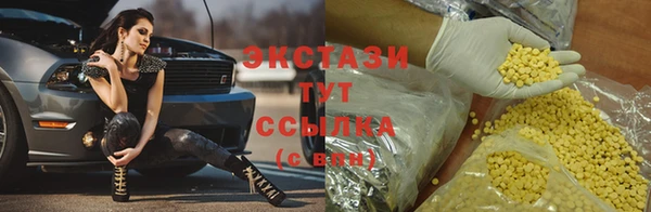 крисы Кодинск