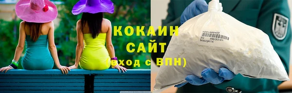 крисы Кодинск