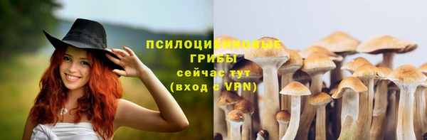 дживик Козловка