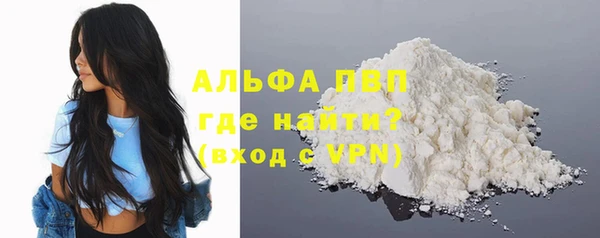 крисы Кодинск