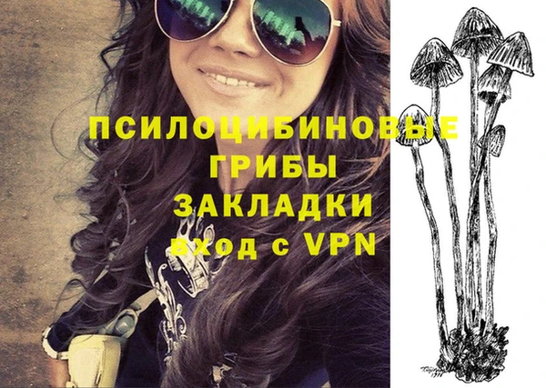 Альфа ПВП Козельск