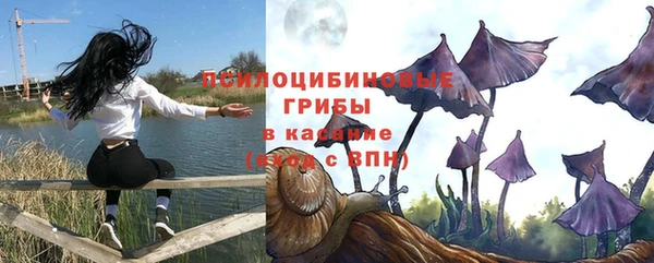 Альфа ПВП Козельск