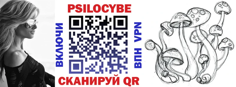 Купить  Лермонтов  Псилоцибиновые грибы Magic Shrooms 